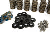Harrop Valve Spring Kit PAC11905 (Corvette 95-08/Camaro 98-20/Commodore 00-17) — fits Chevrolet Camaro Gen 4