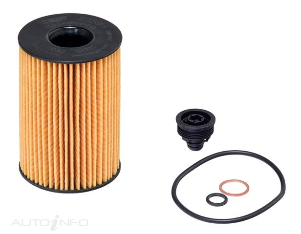 Hengst Oil Filter Bmw V8 - E359HD801