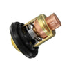 Thermostat Repair Kit (Pair) to suit BMW X3 2.5L — image 5