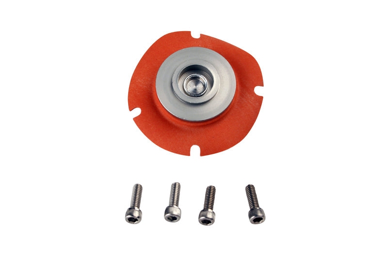 Aeromotive EFI Fuel Press Reg Repair Kit ARO13004