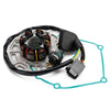 Kawasaki KX250-A 74-76 KX 250 05-07 Ignition Stator Generator with Gasket