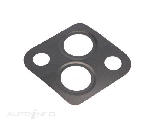 PAT Egr Gasket - GSK-105