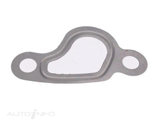 PAT Egr Gasket - GSK-061