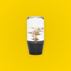 10cm White Hana Gear Knob