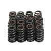 Beehive Valve Spring Kit to suit GM LS Engines 4.8L 5.3L 6.2L — image 6