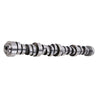 Stage 3 Camshaft to suit Holden Commodore VT-VZ HSV LS1 LS2 LS3 L98 5.0L — image 3
