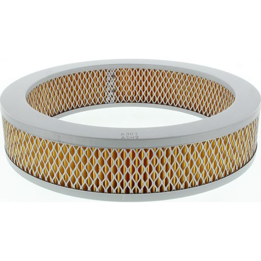 Ryco Air Filter A301