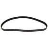 Swag Timing Belt 60 91 9836
