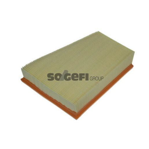 Purflux Air Filter A1195