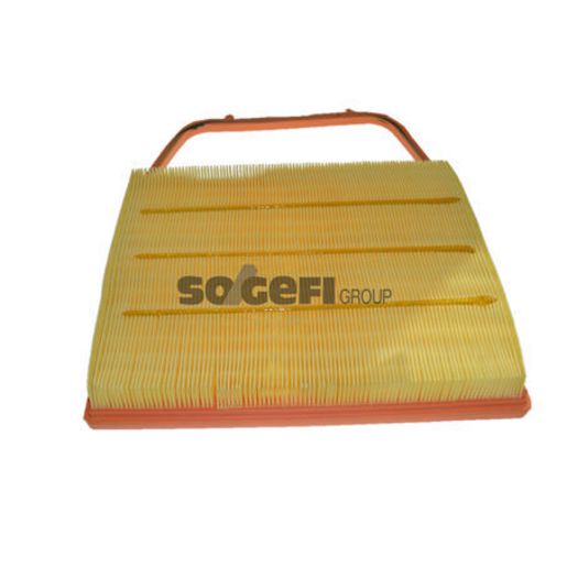 Purflux Air Filter A1491