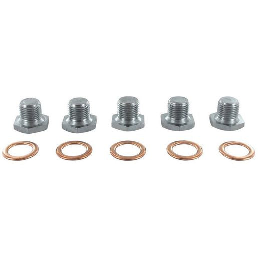Vaico Sump Plug M14 x 1.25mm V42-0259
