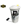 OEM Parts Fuel Pump Module GE533GEN