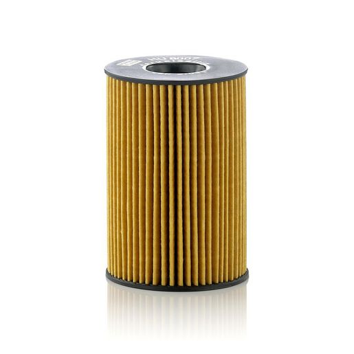 Mann Oil Filter HU8007Z