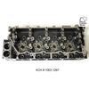 Kiwi Bare Cylinder Head 10031287