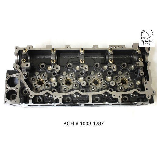 Kiwi Bare Cylinder Head 10031287
