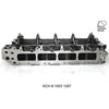 Kiwi Bare Cylinder Head 10031287