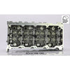 Kiwi Bare Cylinder Head 10061282