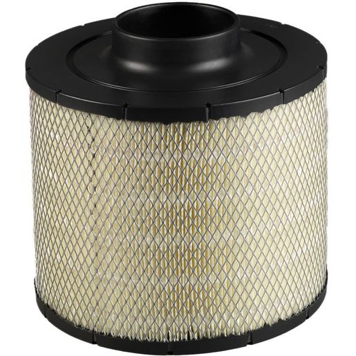 Donaldson Air Filter B085009