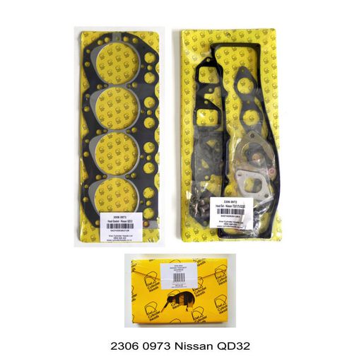 Kiwi Gasket Head Set 23060973
