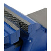 Trade Quip Bench Vice With Fixed Anvil 125Mm 7000T