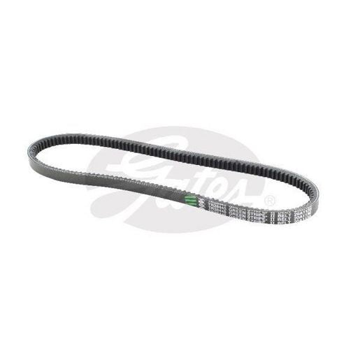 Gates Truck V-Belt 20A1130 TR28445