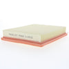 Proselect Air Filter PSA365