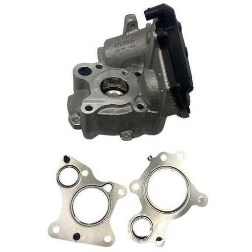 Goss EGR Valve EV165