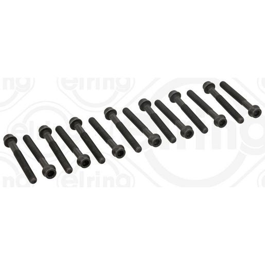 Elring Cylinder Head Bolt Set 819.965