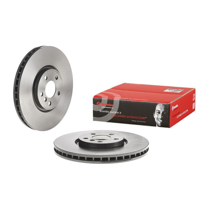 Brembo Brake Disc Single 09.D179.11
