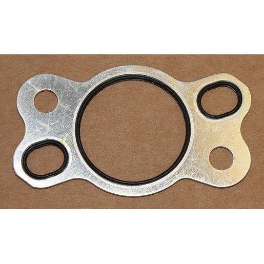 Elring Gasket 577.96