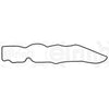 Elring Timing Case 571.76