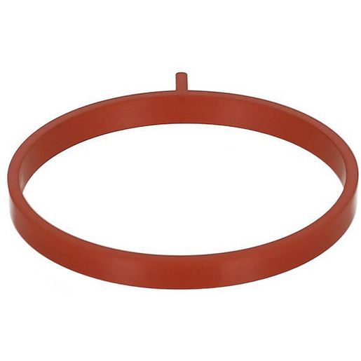 Elring Intake/Exhaust Gaskets 697.6