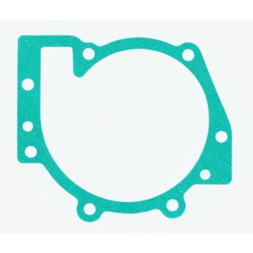 Elring Gasket 393.841