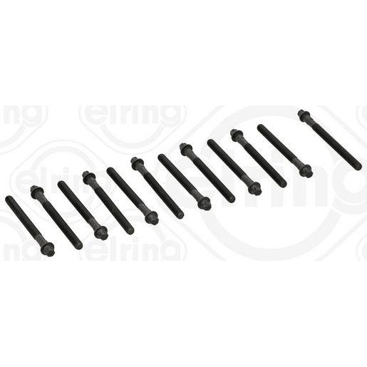 Elring Cylinder Head Bolts 460.03