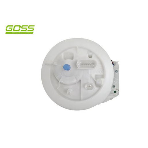 Goss Fuel Pump Module - Audi GE602
