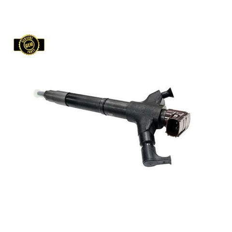 OEM Parts Diesel Fuel Injector DIN972GEN