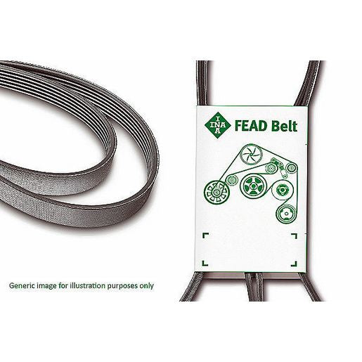 INA Ribbed Drive Belt FB6PK1043