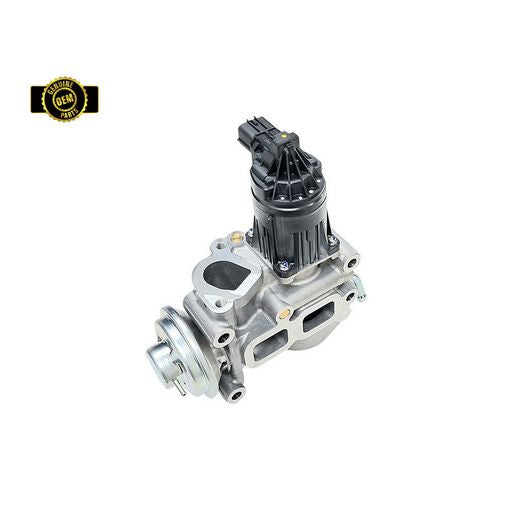 OEM Parts EGR Valve EV169GEN