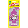 Little Trees Little Trees Dragonfruit Air Freshener 1