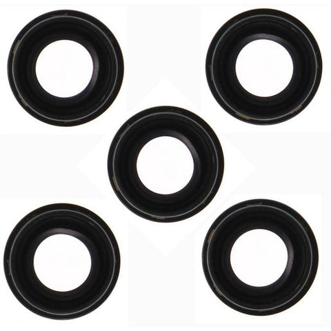 Permaseal Injector Seal INS023-05