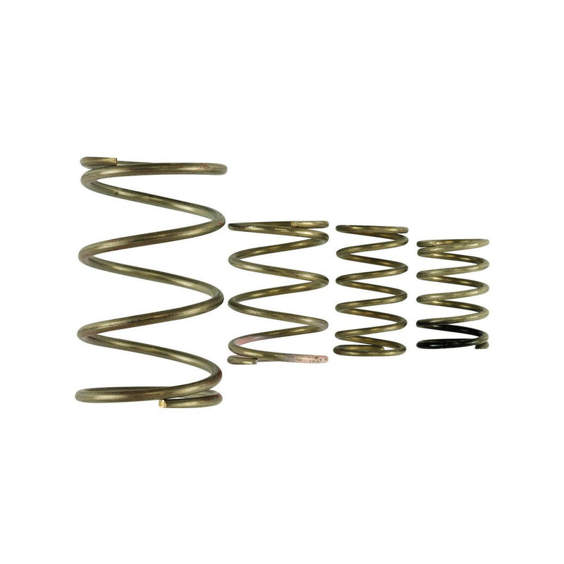 Turbosmart Genv Wg38/40 Spring Replacement Kit