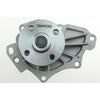 Dayco Water Pump DP300
