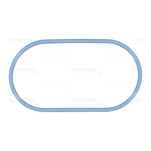 Kiwi Manifold Plenum Gasket - Ford 25118102VR