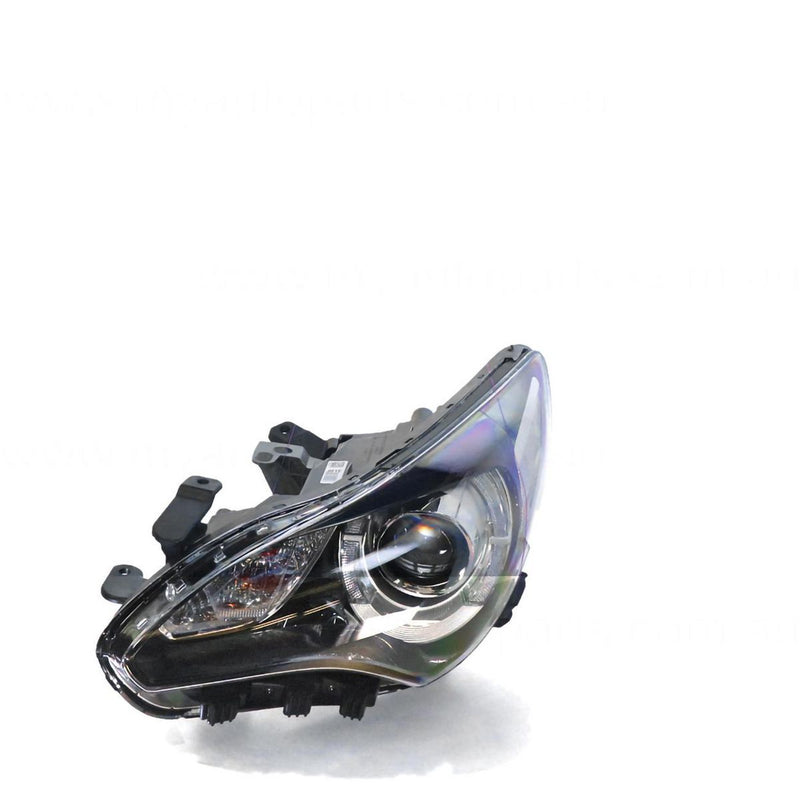 APG All Crash Halogen Head Lamp Passenger Side OEM suits