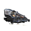APG All Crash Xenon Head Lamp Drivers Side OEM suits