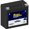 Century Everride Battery GYZ20H