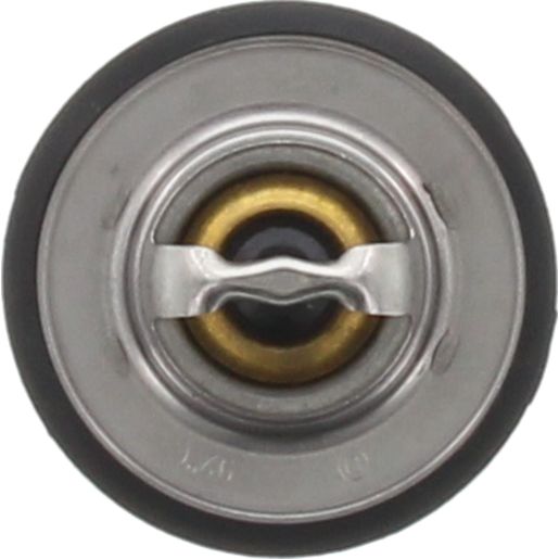 Dayco Thermostat DT18F-BP
