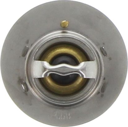 Dayco Thermostat DT28G-BP