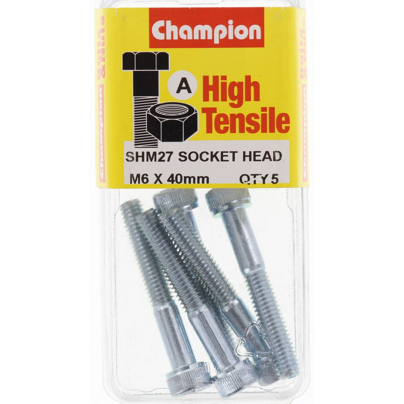 Champion Fasteners Socket Head Cap Screw High Tensile M6
