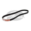 Gates Ribbed Belt 4PK785